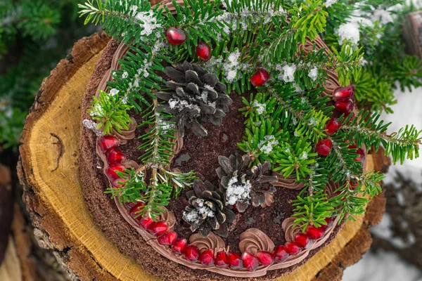 Christmas choklad tårta dekorerad med fir grenar, kottar — Stockfoto