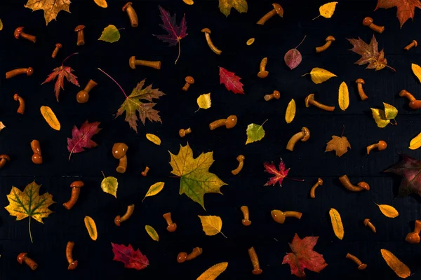 Fondo de hojas de otoño y setas en la ta de madera negra —  Fotos de Stock