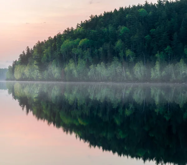 Reflections of the pines in the boundary waters of Minnesota — Stock Photo, Image