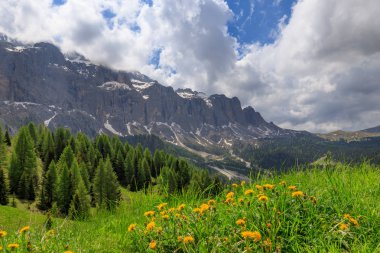 Dolomitlerde bir dağ yolu 