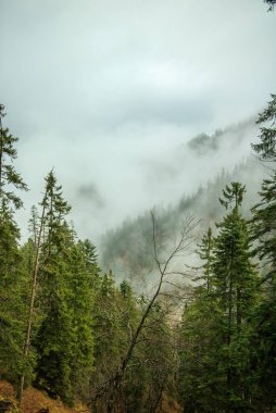 Bavyera Alplerinde bulutlu bir gün