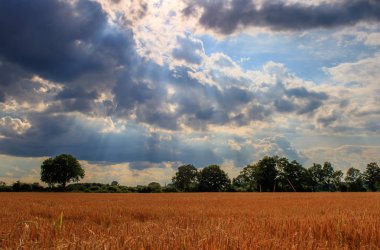Almanya 'da bulutlu bir günde güneş ışığı