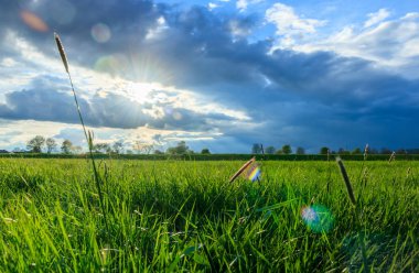 Bulutlu bir yaz gününde son güneş ışınları