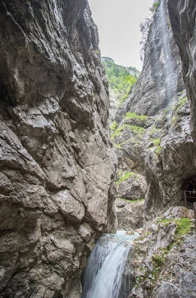 Rivière de montagne dans les Alpes — Photo