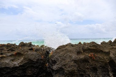 Meksika 'nın kayalıklarında büyük dalgalar var. 