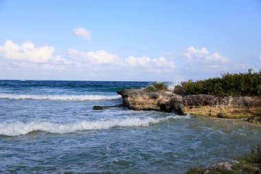 Meksika sahillerinde güzel doğa.