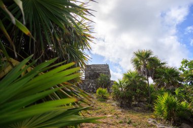 Meksika 'daki harabelerin muhteşem manzarası.