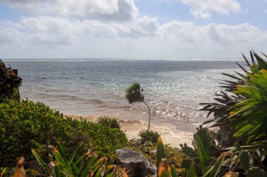 Meksika 'daki harabelerin muhteşem manzarası.