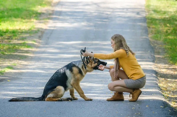 Menina sentada na estrada na floresta com um cão pastor alemão. O treino do animal. Um filhote de cachorro safado jovem morde a mão do proprietário, não dá uma pata. No fundo de outono de árvores . — Fotografia de Stock