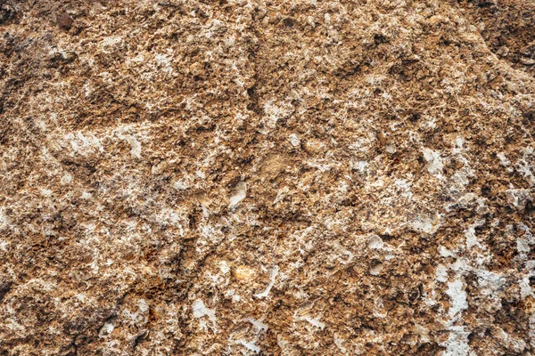 Brown old wall close-up from a block of limestone in the style of grunge. Vintage texture of natural stone. Background for the subject flat lay. Concept of construction and interior design. Copy space