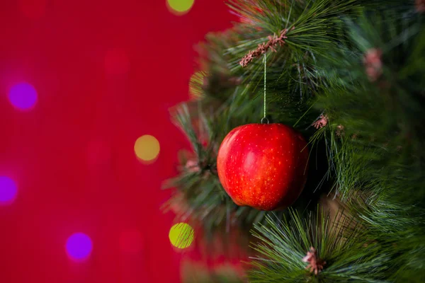 Wegański koncert świąteczny. Drzewo ozdobione jest świeżymi owocami. surowe jabłko na gałęzi sosny na czerwonym tle z bokeh. Idea minimalizmu i ekologicznego świętowania bez marnotrawstwa. Przestrzeń kopiowania — Zdjęcie stockowe