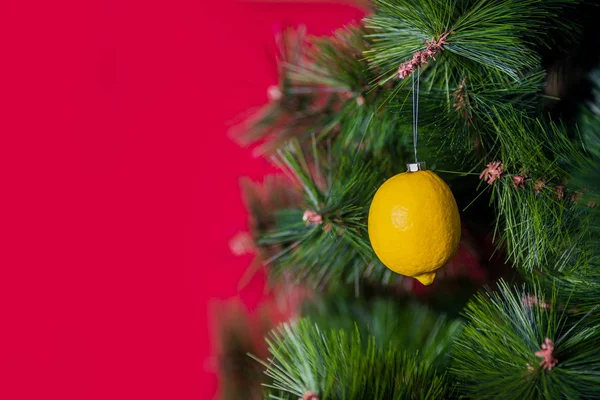 Vegan Christmas concert. tree is decorated with fresh vegetables. raw carrots on a pine branch on a red background. The idea of minimalism and eco-friendly celebration without waste. Copy space