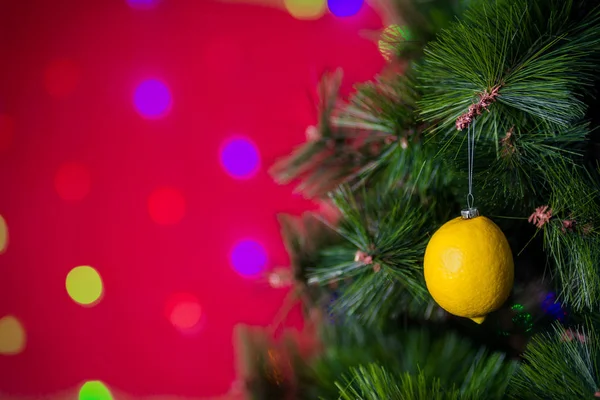 Wegański koncert świąteczny. Drzewo ozdobione jest świeżymi owocami. surowa cytryna na gałęzi sosny na czerwonym tle z bokeh. Idea minimalizmu i ekologicznego świętowania bez marnotrawstwa. Przestrzeń kopiowania — Zdjęcie stockowe