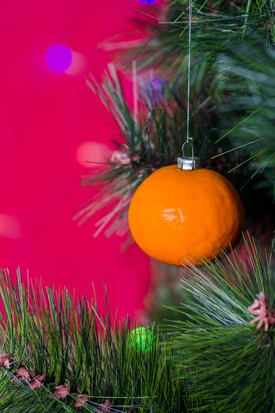 Wegański koncert świąteczny. Drzewo ozdobione jest świeżymi owocami. surowy mandaryn na gałęzi sosny na czerwonym tle z bokeh. Idea minimalizmu i ekologicznego świętowania bez marnotrawstwa. Przestrzeń kopiowania — Zdjęcie stockowe