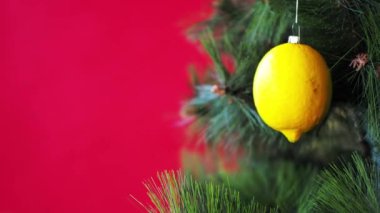 Vejetaryen Noel konseri. Ağaç taze sebzelerle süslenir. Kırmızı arka plandaki çam dalında çiğ limon. Minimalizm ve çevre dostu ziyan olmadan kutlama fikri. Boşluğu kopyala