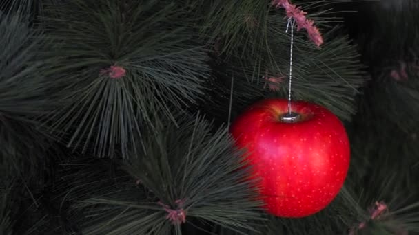 Vegansk julekonsert. Treet er dekorert med frisk frukt. råepler på en furukvist på rød bakgrunn. Tanken om minimalisme og miljøvennlig feiring uten sløsing. Kopirom – stockvideo