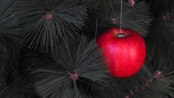 Vejetaryen Noel konseri. Ağaç taze meyvelerle süslenmiş. Kırmızı arka planda bir çam dalında çiğ elma. Minimalizm ve çevre dostu ziyan olmadan kutlama fikri. Boşluğu kopyala — Stok video