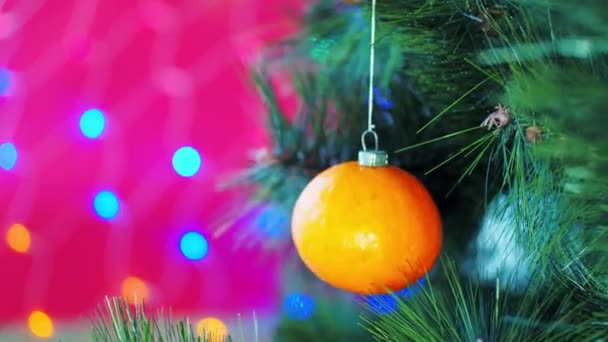 Veganes Weihnachtskonzert. Der Baum ist mit frischem Obst geschmückt. rohe Mandarine auf einem Kiefernzweig auf rotem Hintergrund mit Bokeh. die Idee des Minimalismus und der umweltfreundlichen Feier ohne Verschwendung. Kopierraum — Stockvideo