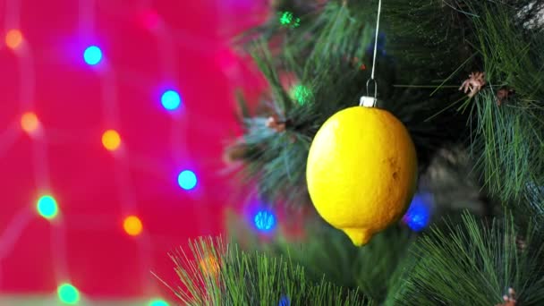 Vejetaryen Noel konseri. Ağaç taze meyvelerle süslenmiştir. Kırmızı arka planda Bokeh 'li bir çam dalında çiğ limon. Minimalizm ve çevre dostu ziyan olmadan kutlama fikri. Boşluğu kopyala — Stok video