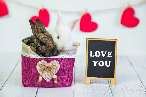 Live Bunny to a basket with a red heart. Card with an animal on Valentines day. Cute little hares close up on a white background with a sign with the text Love you. Agriculture, rabbit breeding. — 스톡 사진