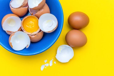 Çiğ yumurta, yumurta sarısı ve kabuk sarı arka planda mavi bir tabakta. Büyük bir aile için yemek pişirme kavramı. Şenlikli omlet, çırpılmış yumurta ya da kek pişirme. Boşluğu kopyala.