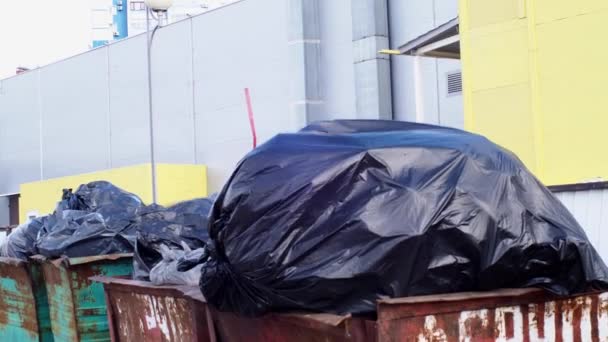 Tele szemetes konténerek nagy fekete szemeteszsákokkal a szélben, közeli ipari épület. A szilárd hulladék ártalmatlanításának környezeti problémája egy nagyvárosban. A környezetszennyezés fogalma. — Stock videók
