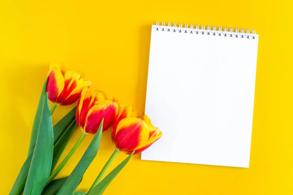 Mock up. Copy space for text in Notepad and beautiful red and yellow fresh tulips. flat lay, top view. Flowers on a bright background. the concept of greeting cards, spring gentle mood.