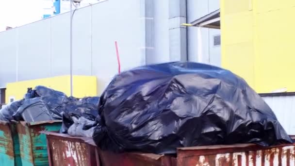 Full garbage containers with large black bags of garbage in wind close-up, near an industrial building. Environmental problem of solid waste disposal in a big city. Concept of environmental pollution. — Stock Video