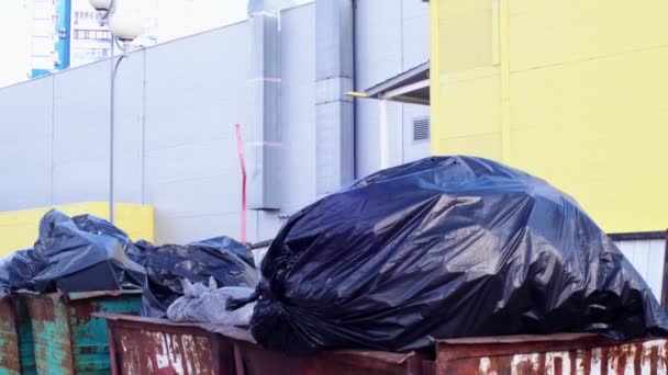 Recipientes de lixo cheios com grandes sacos pretos de lixo em close-up do vento, perto de um edifício industrial. Problema ambiental da eliminação de resíduos sólidos numa grande cidade. Conceito de poluição ambiental . — Vídeo de Stock