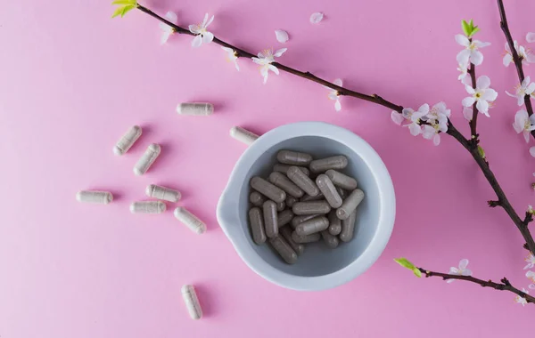 Gray capsules in a medical mortar and flowering apricot branch on a pink background — Stock Photo, Image