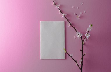 Yazmak için beyaz zarf ve pembe arka planda çiçek açan bir kayısı dalı..