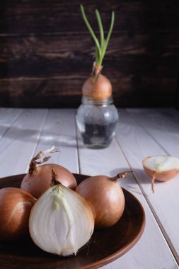 Bütün soğan ve dilimler ahşap bir masada bir tabakta yatıyor. Ampul suda büyür..