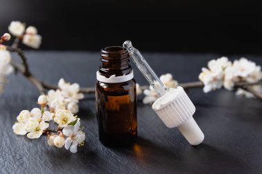Cam bir şişede doğal kozmetik ürünler ve koyu bir taşın üzerinde çiçek açan kayısı dalları. Serum, özü