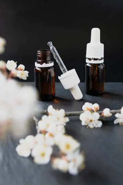 Natural cosmetic product in a glass bottle and flowering apricot branch on a dark stone. — Stock Photo, Image