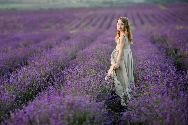Şaşırtıcı elbiseli güzel kız yürümek lavanta sahada.