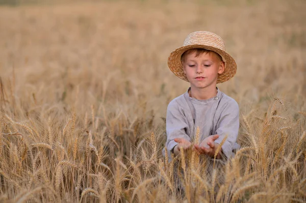 Beautiful Child Play Field Wheat — Stock Photo, Image