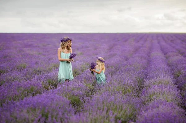 Família feliz em um campo de lavanda — Fotografia de Stock