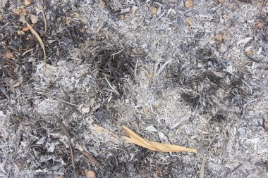 Köz ve külleri doku