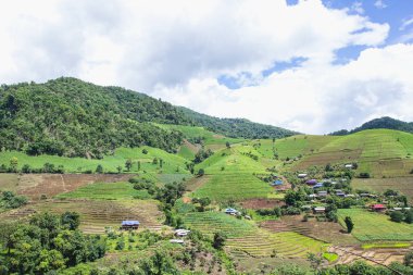 Dağ tepe Yeşil taze zaman görünümü Chaingmai Tayland