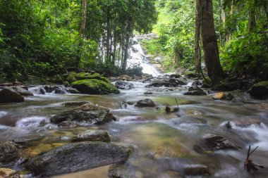 Küçük güzel brook akışı şelale çağlayan bir ormandaki Kuzey Tayland.
