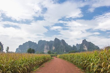 Toprak yol, şeker kamışı alanı ile güzel gökyüzü arka plan, T
