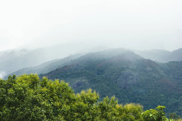 Nebbia Montagna Nella Provincia Chaingmai Thailandia — Foto Stock