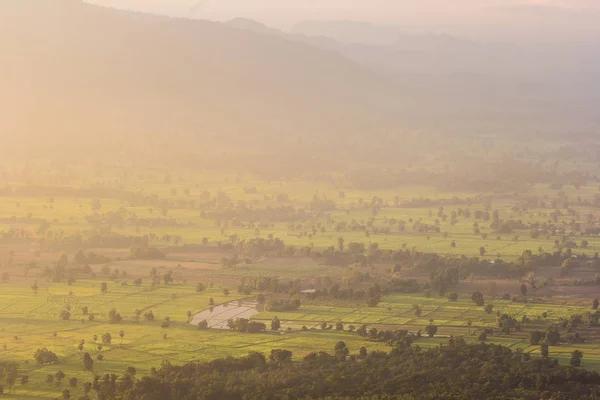 Nevoeiro coberto de montanhas e floresta pela manhã . — Fotografia de Stock