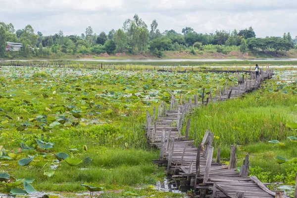 Gammal trä bro över den sjö, Kea Dam, Mahasarakham — Stockfoto