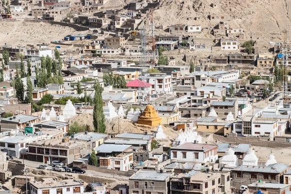 Patrón Casas Ciudad Leh Ladakh India —  Fotos de Stock