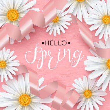 Bahar arka plan papatya çiçek, vektör çizim ile.