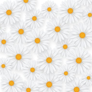Papatya yaz çiçek arka plan. Papatya desen vektör çizim