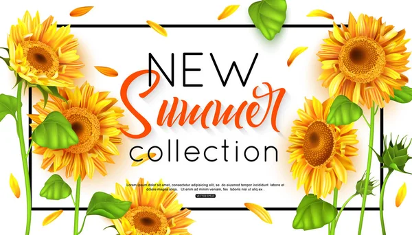 Nueva colección de verano con girasol para banner. Ilustración vectorial . — Vector de stock