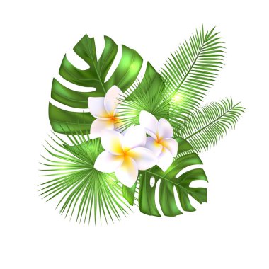 Tropikal egzotik çiçek ve yaprakları. Gerçekçi vektör çizim