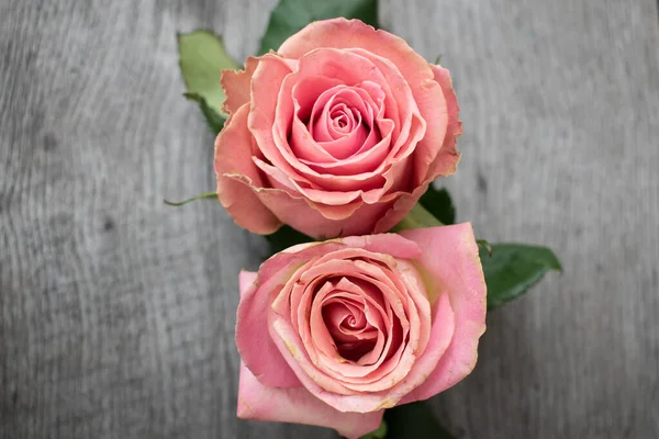 Kırsal bir arka planda iki pembe gül. Gri ahşap arka planda güller